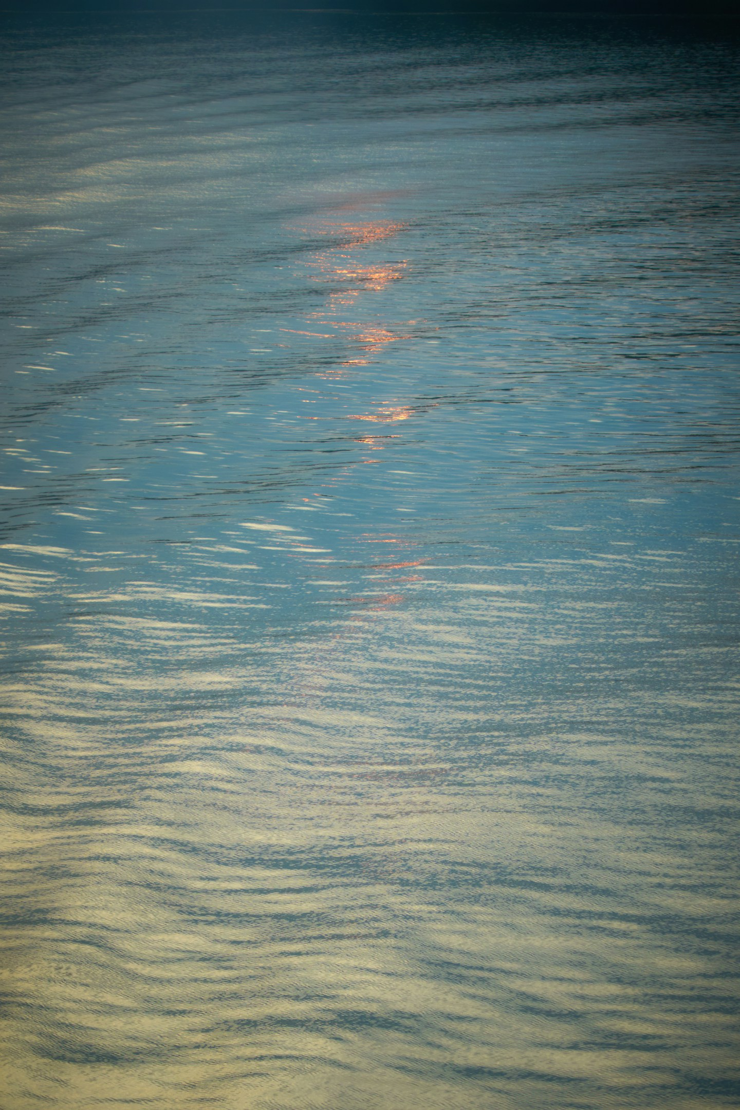 2025年新卒内定式を開催いたしました！