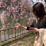 中島美桜