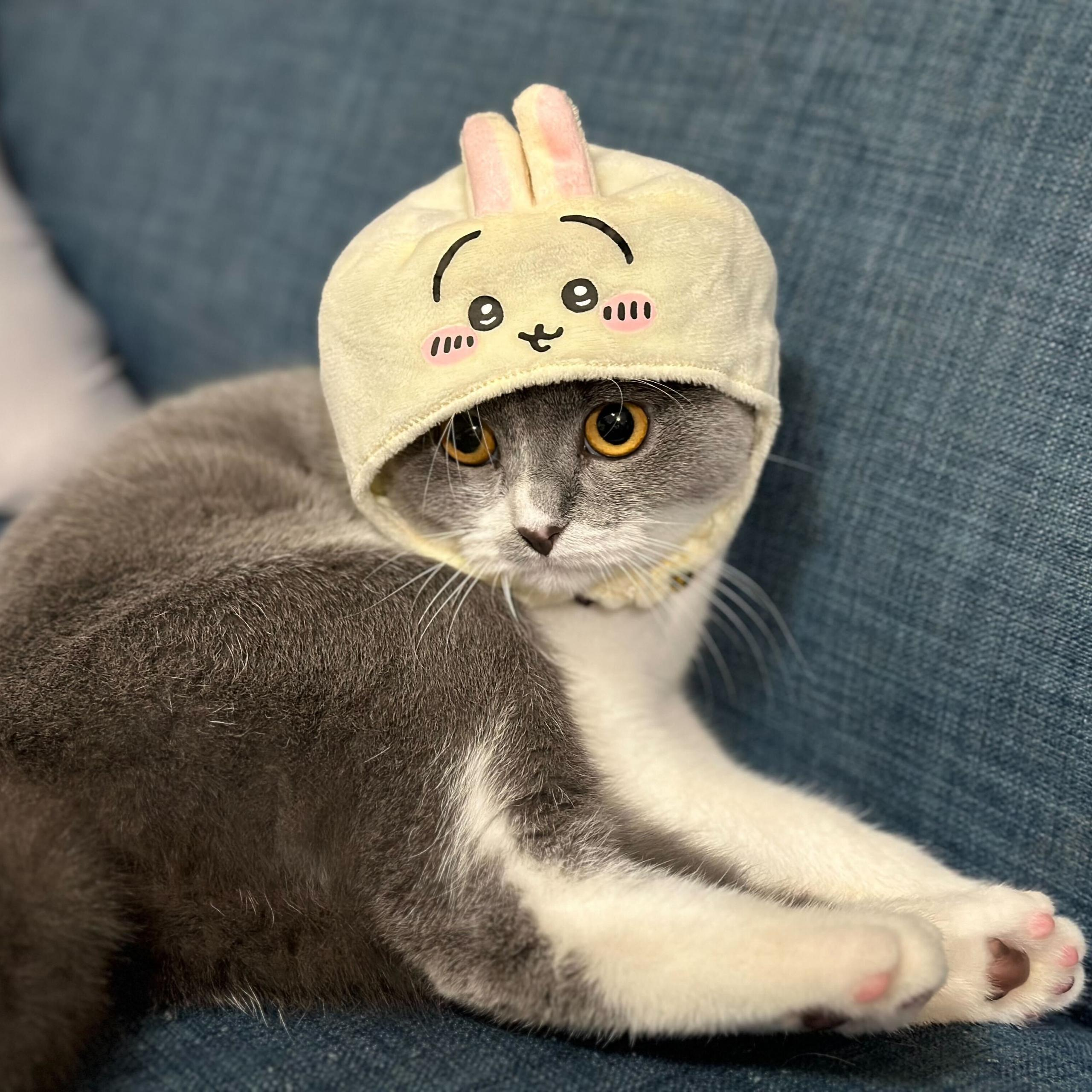 井上 めぐみ