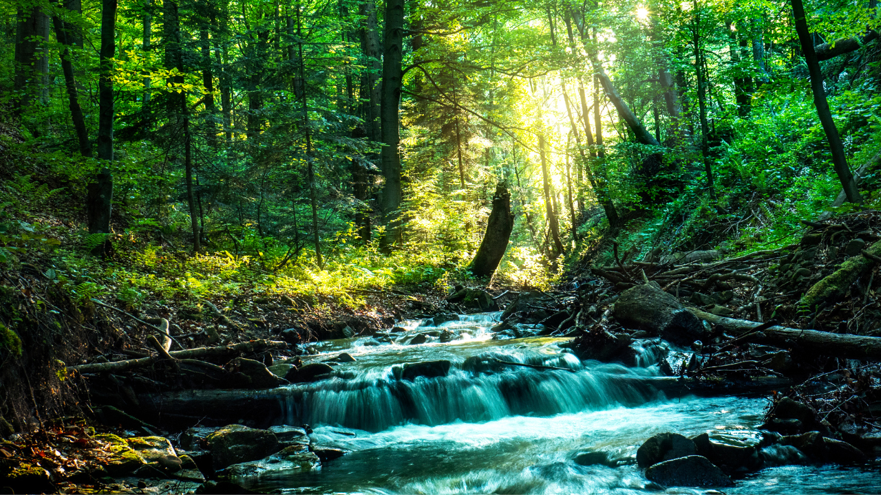 常に新しいことを学び、それを事業にする【サステナビリティコンサルティングの技術担当インタビュー】