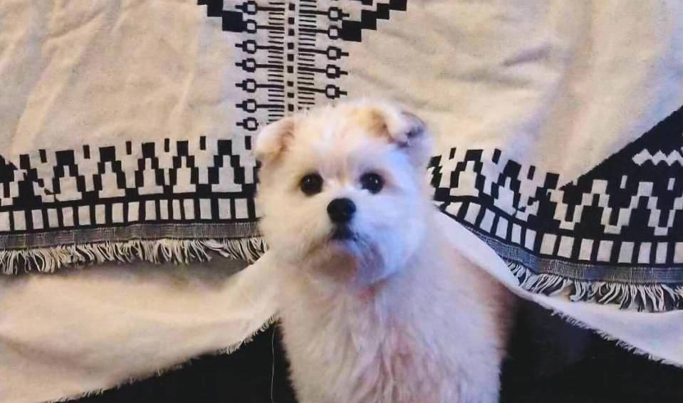 中卒でスーツアクター、不動産営業、ナイトワークetc…38職種を経験するも自分に合う仕事が見つからず起業