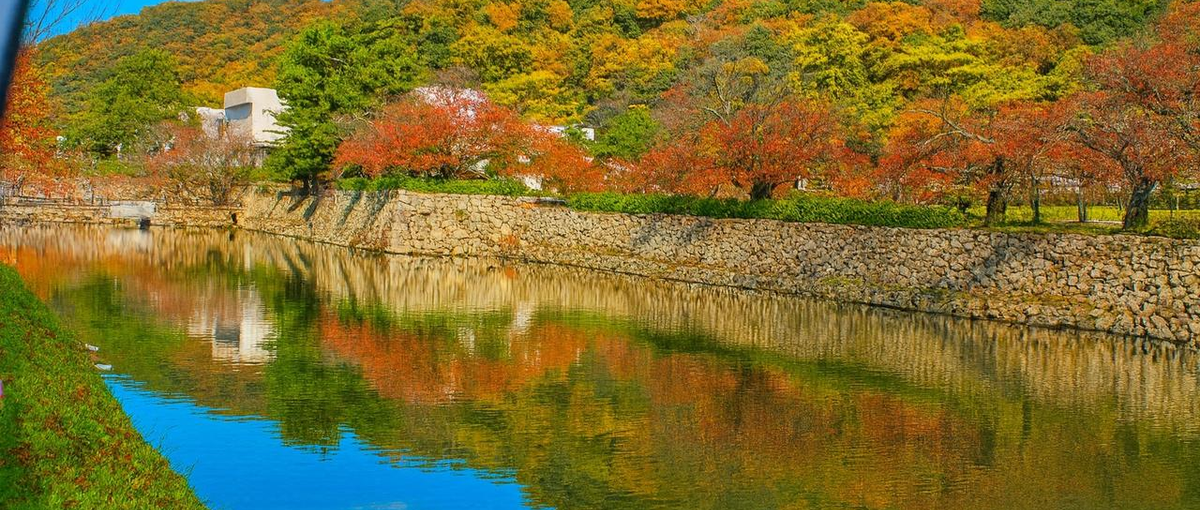 27卒募集！地域×経営50の街で価値創造に挑戦する事業企画リーダー