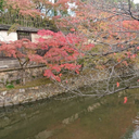 健太 好野