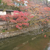 健太 好野