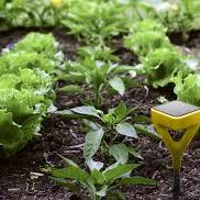 伊藤 智哉さんのプロフィール