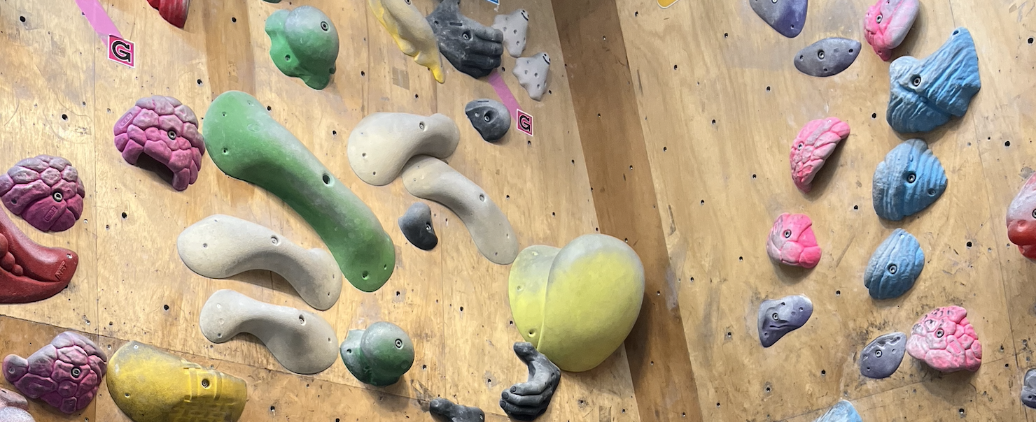 【ボル部】新入社員と共に