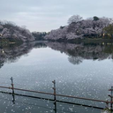 岩田 大輝