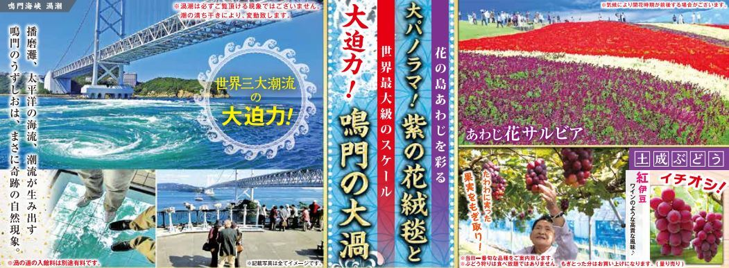 STEPトラベル過去ツアー紹介「鳴門の渦潮と淡路花さじきの旅」