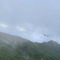 山本 智敬さんのプロフィール