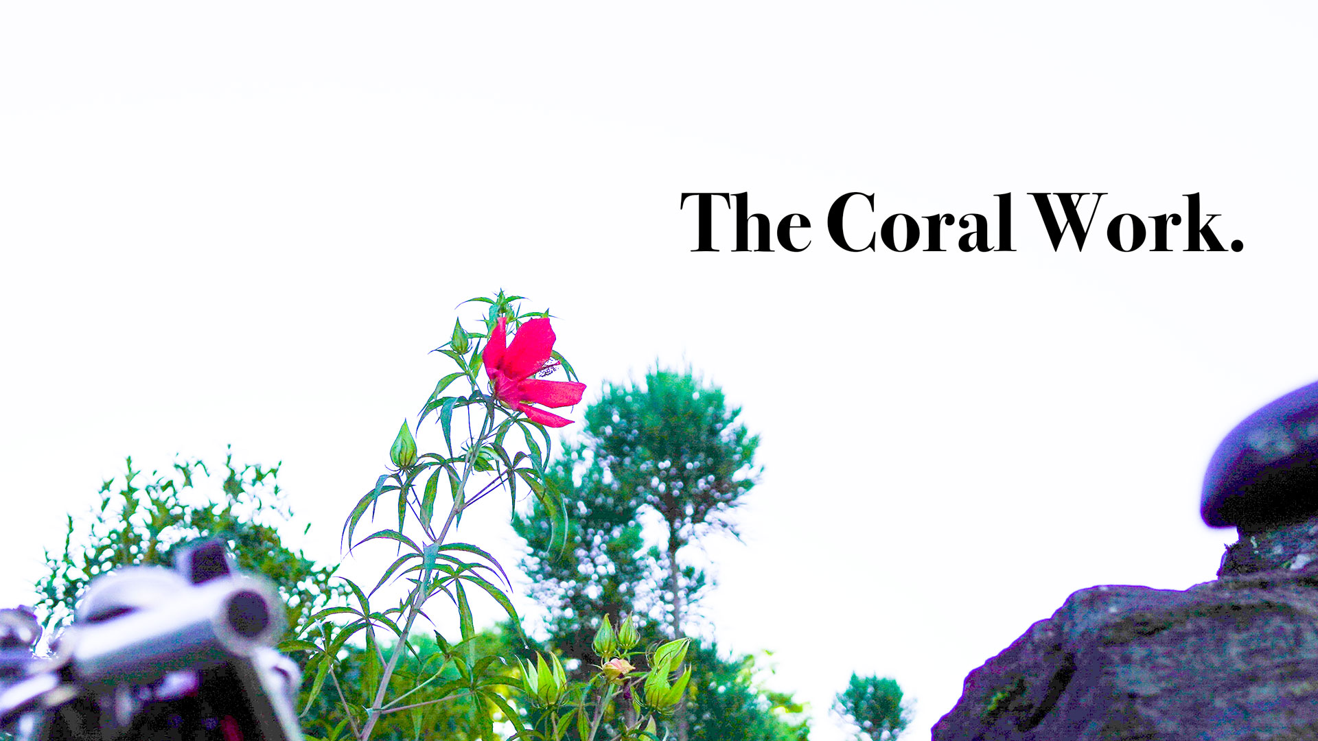 私たちの新しい働き方、Coral Work。