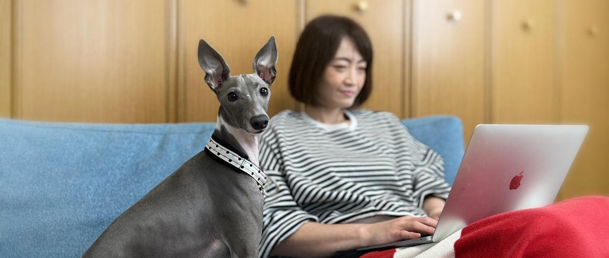 COBOLを書いていた。でも今はちょっと違うことがしたい！そんなCS募集！