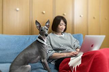 COBOLを書いていた。でも今はちょっと違うことがしたい！そんなCS募集！
