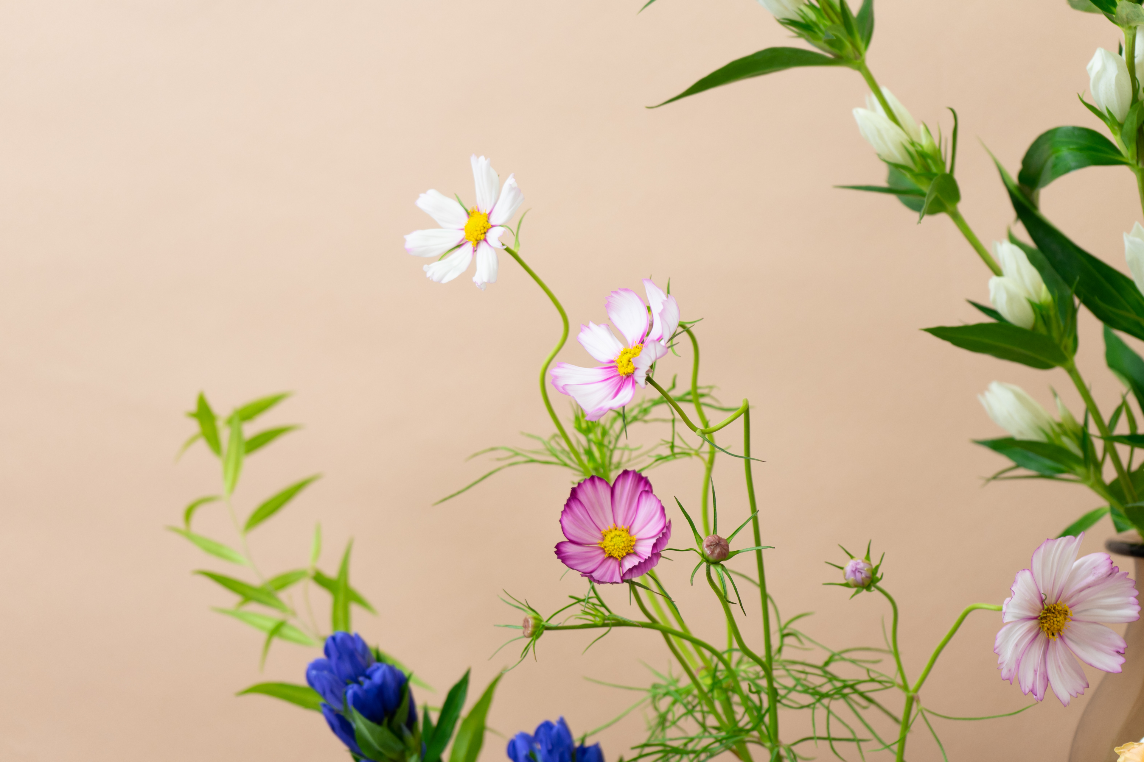 【Beer and Tech Interview ＃13】メンバーが安心して働ける環境をどんどん提案したい。コーポレート部を「攻める部署」へ