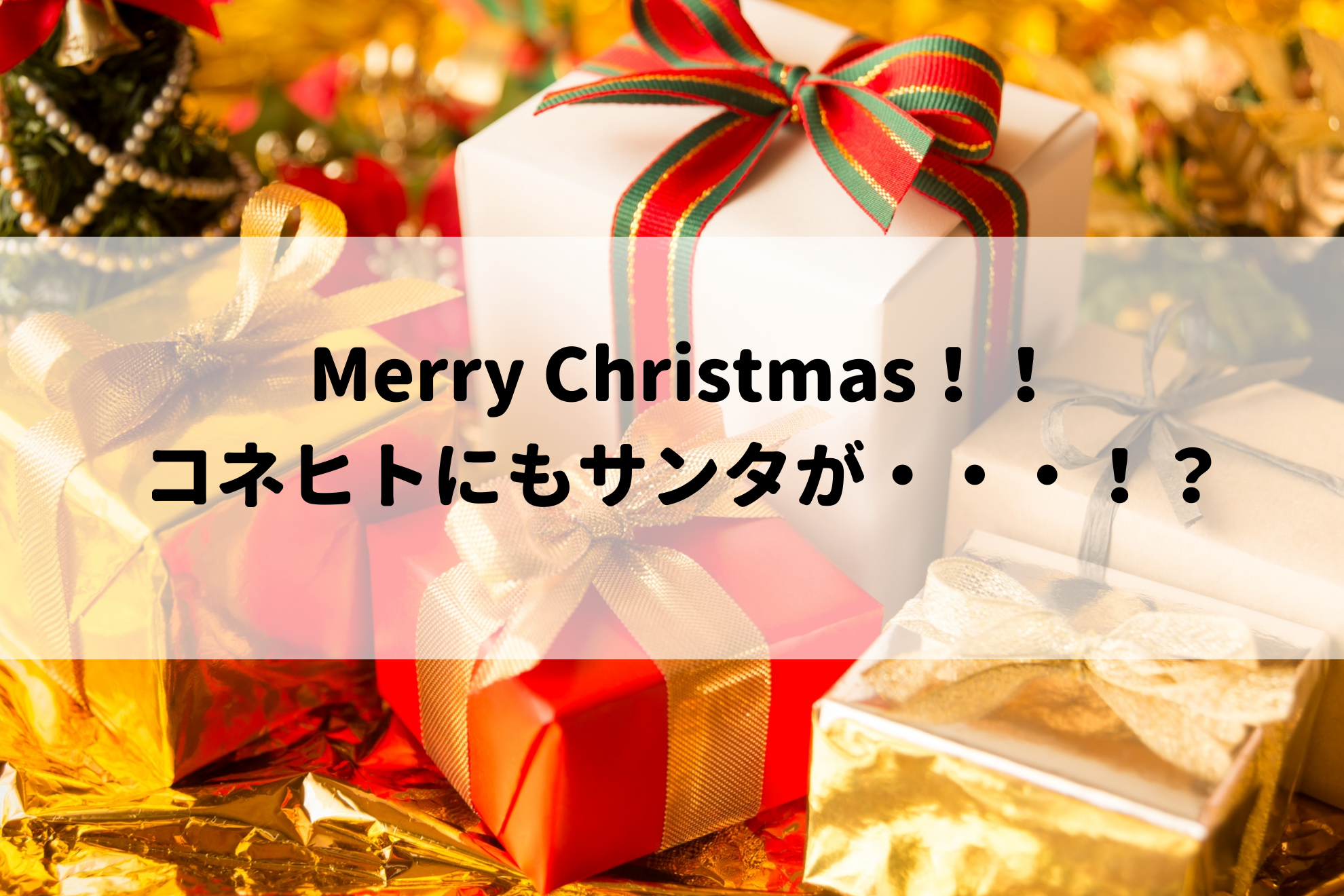 コネヒトにもサンタさんが来たよ！