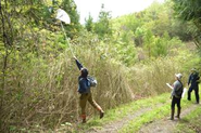 最近は企業様からご依頼を頂いて、敷地内の生態系の調査などもおこなっています。