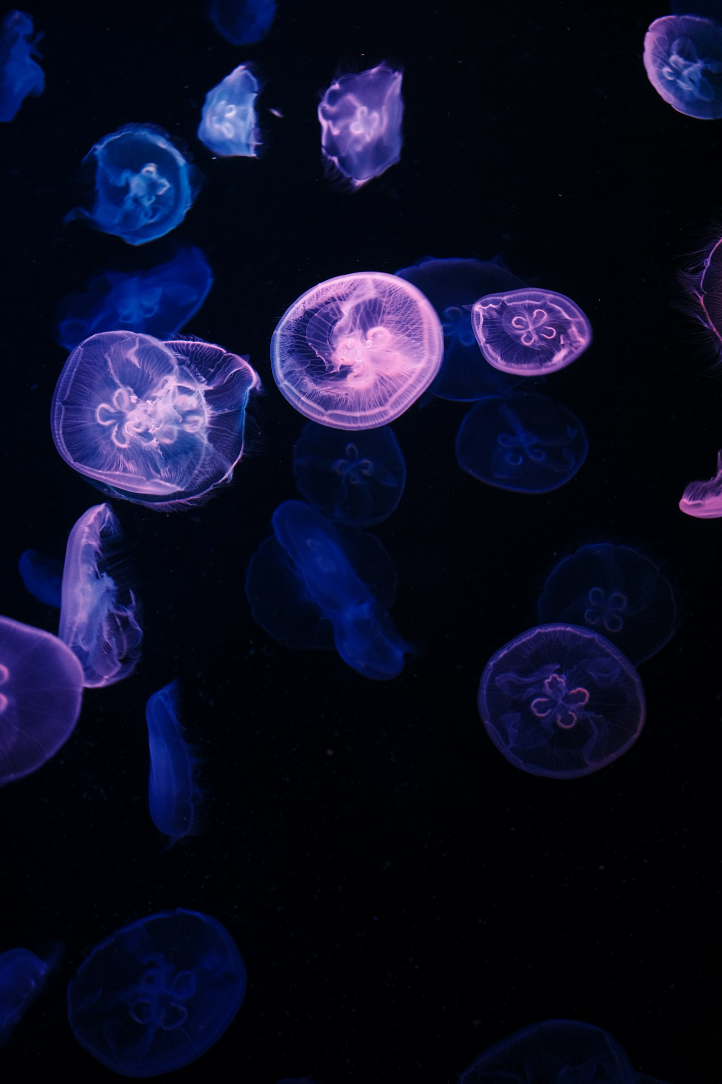 大藏(大蔵)陽平:フリーランス10年目が語る「仕事を持って旅に出る」という働き方