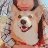 chihiro kawaguchi