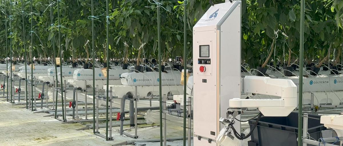 スマート農業分野にて水耕栽培の経験者を募集しています