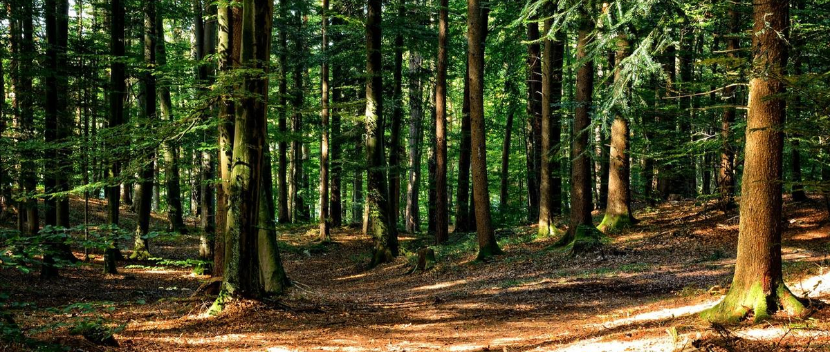 mapryのエンジニアWanted！事業拡大につき神戸オフィス開設