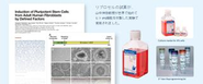 世界で初めてヒトiPS細胞を樹立した山中教授の実験に当社の培養液が使用され、その後、iPS細胞の分野で最先端のビジネスを展開してきました。