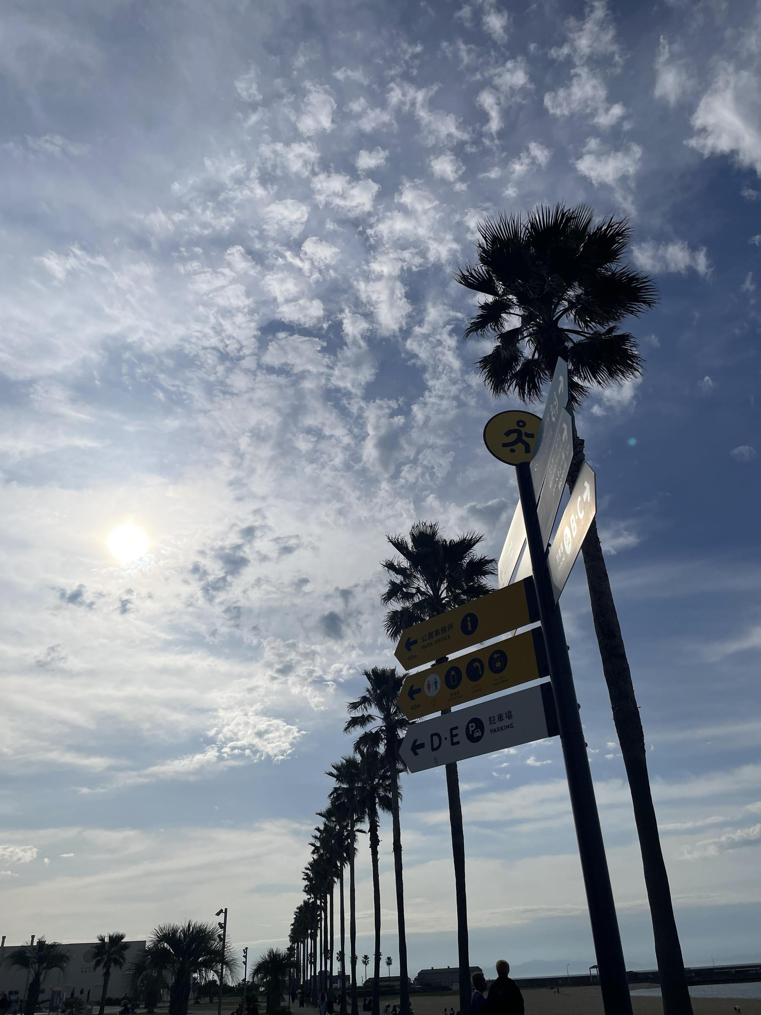 ラストスパート👑