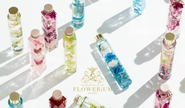 フラワー業界の風雲児。「ハーバリウム」の生みの親「フラワリウム（FLOWERiUM®︎）」フラワーギフととして安定の地位を獲得。年間3万個以上販売の人気商品。