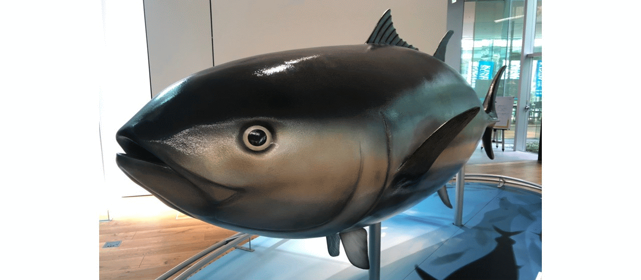 近畿大学で「SNS時代のマーケティング実践講座」を開催しました！