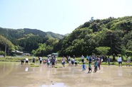 美波町での田植えの様子