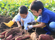 子どもたちの五感をフルに使い、楽しく、学びに繋がる食育を提供しています