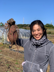 無農薬無肥料栽培ですがベテラン農家さんの手によって顔より大きなサツマイモが掘れました！