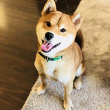 孫　兢