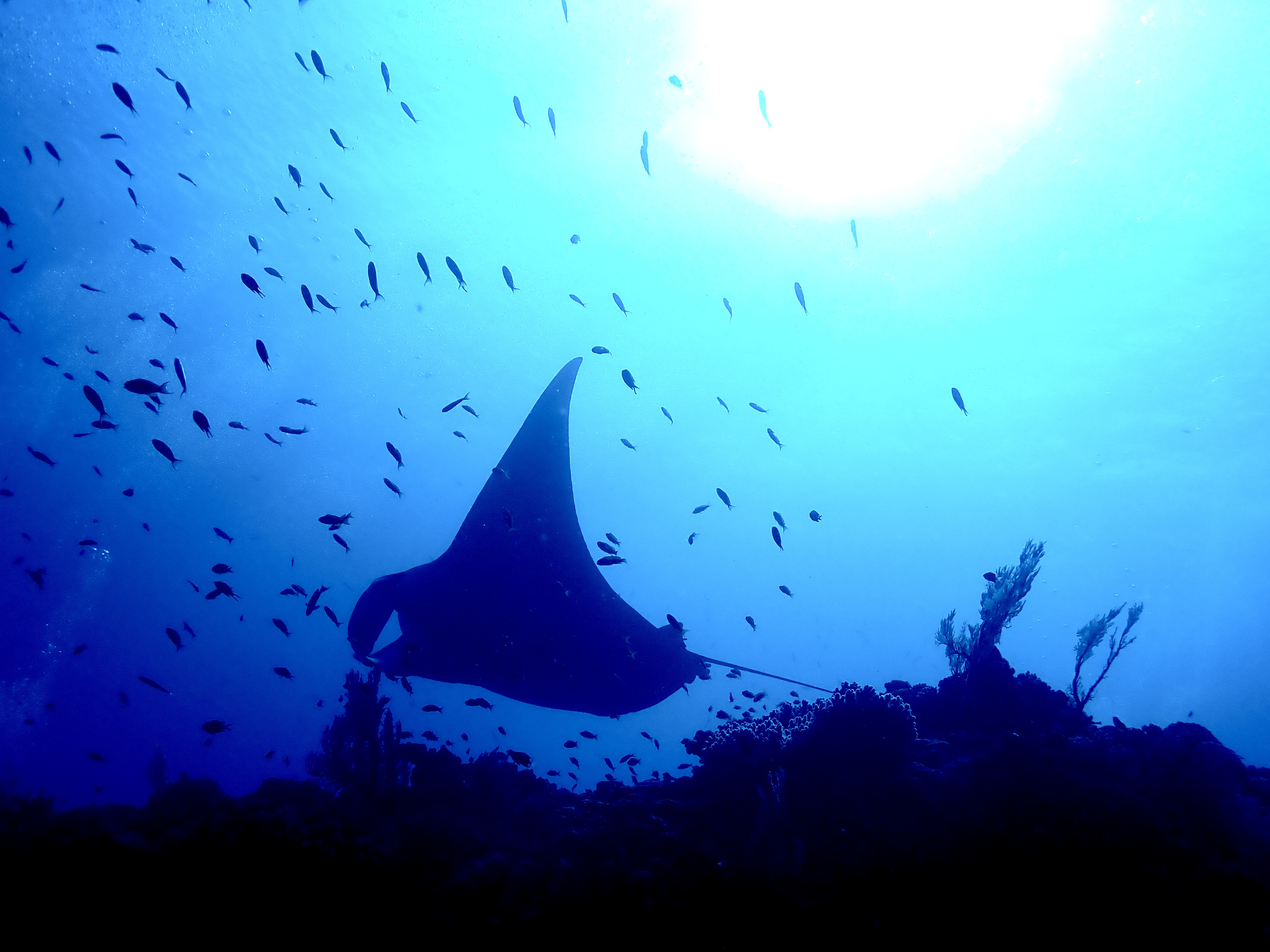 ワークライフバランスの実現