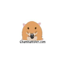 chuot hamster