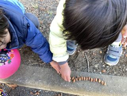 医療ケア児だけが訪問看護の対象ではなく、発達遅延のお子さまを遊びから発達の支援を行います