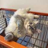 野津 誠