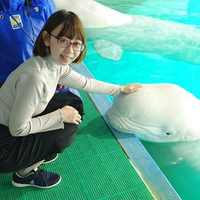 秋保 かおりさんのプロフィール