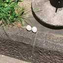 サカモト ジン