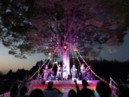 イベントも多数開催しています！今はコロナで難しいのですが・・