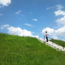 Motoki Ohashi