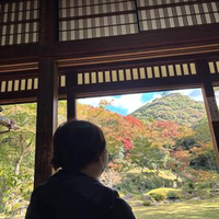 Sachiko Teradaさんのプロフィール