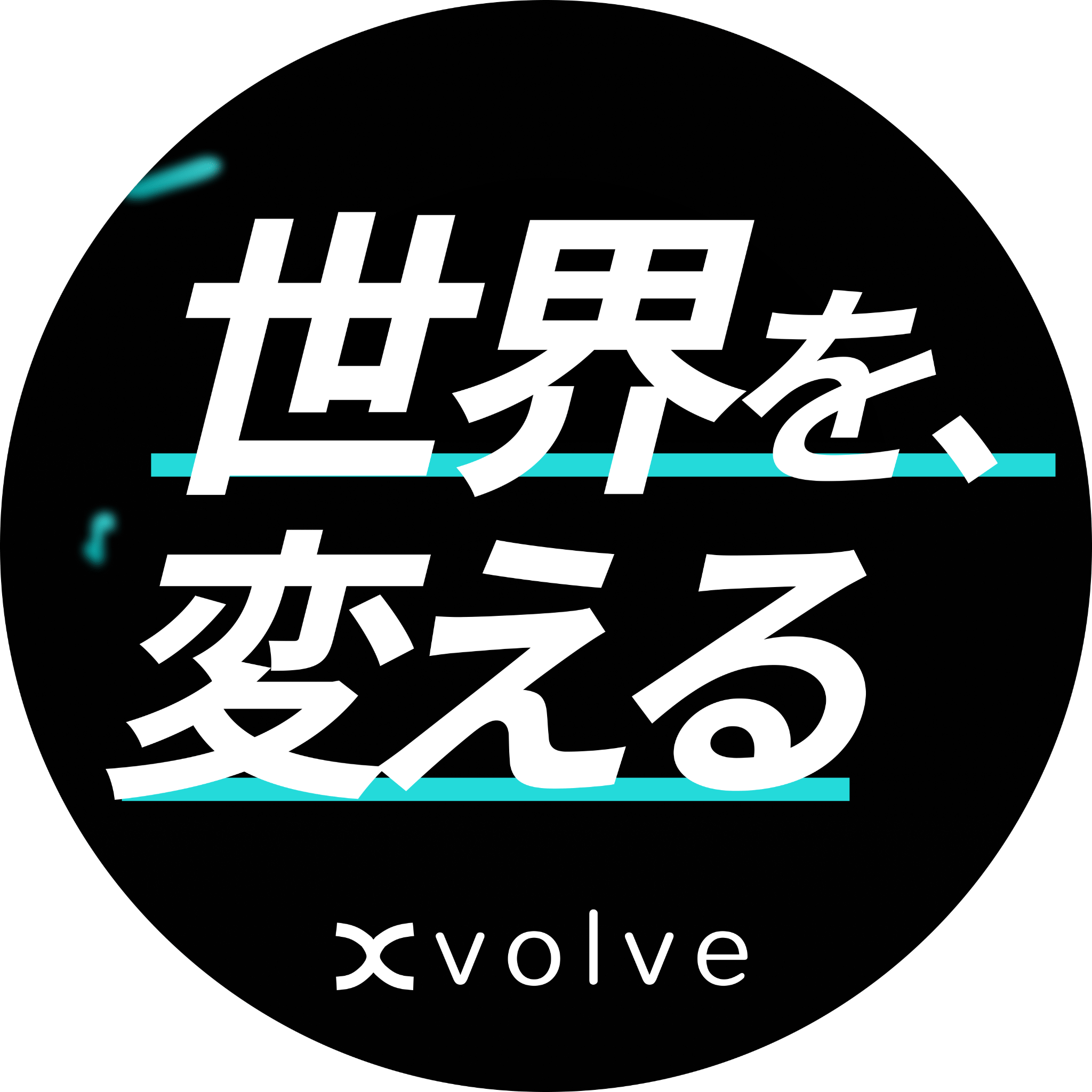 XVOLVE GROUP