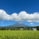 藤原  康平