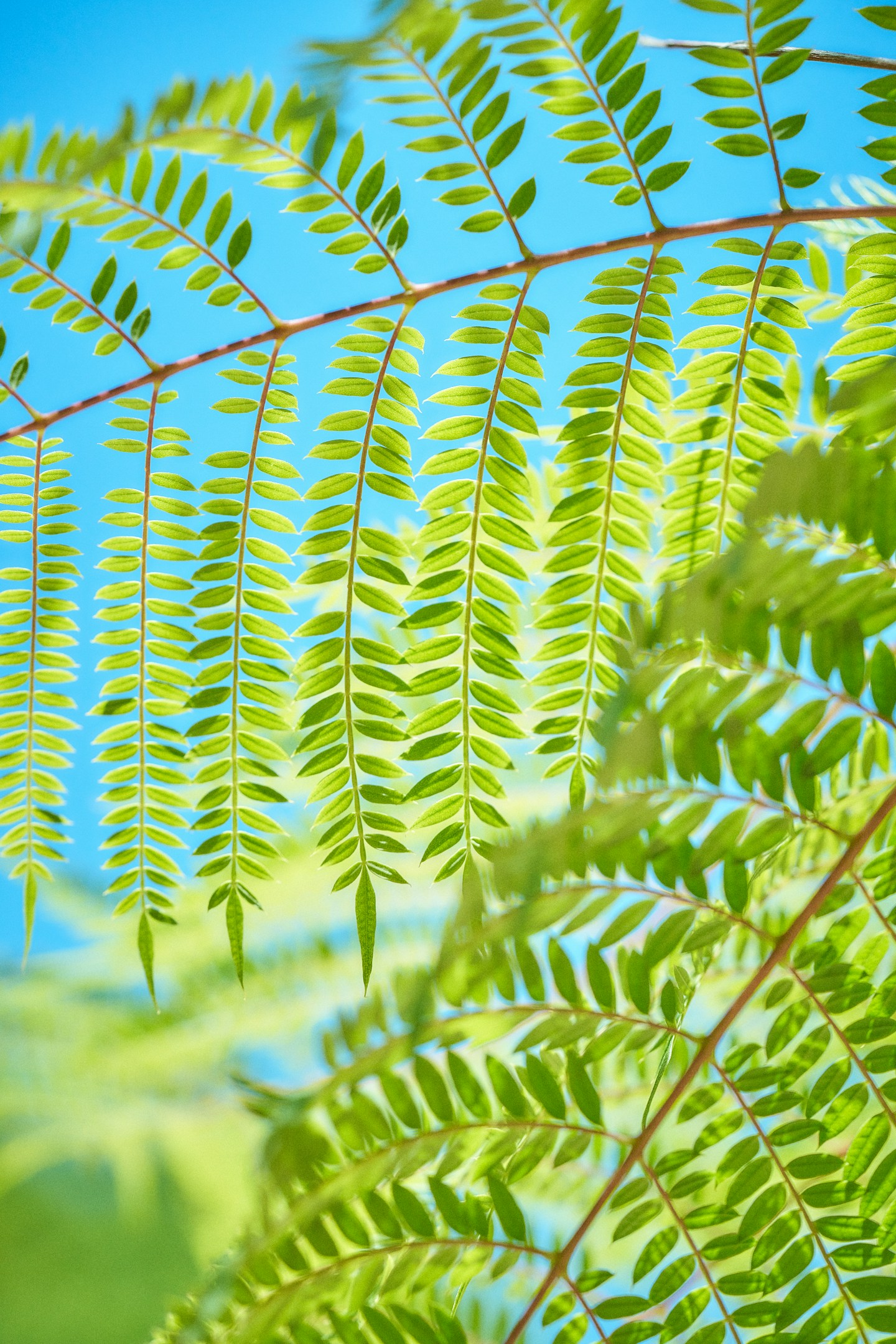 GeoPandasとGISを学習中