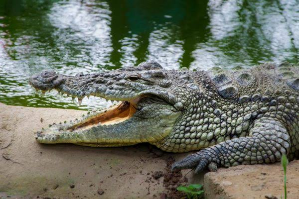 皆さんはご存知でしょうか？