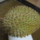 Ryozo Furuta