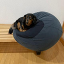 古謝 栄人