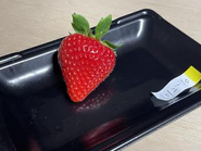 すでに有望なイチゴ品種を多数開発しています