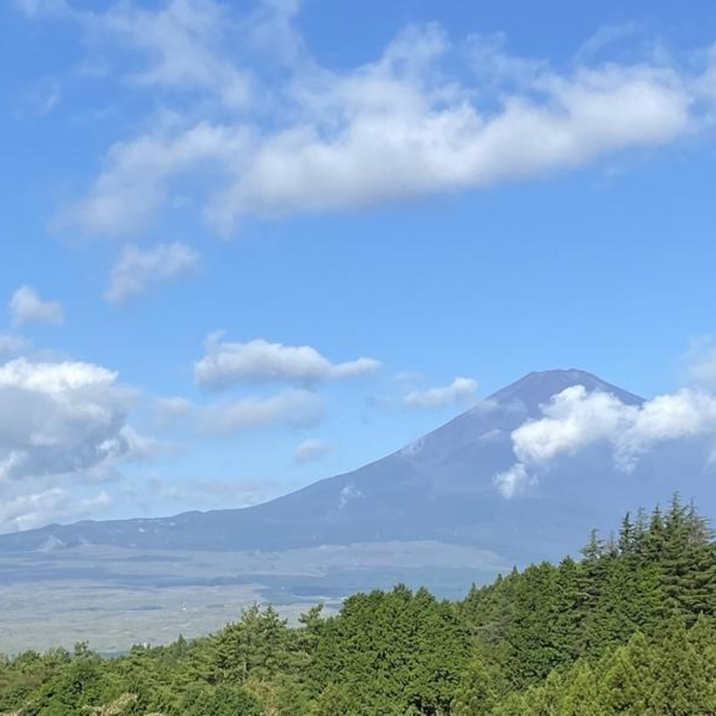 株式会社レッドクリフの働き方とストーリー Wantedly