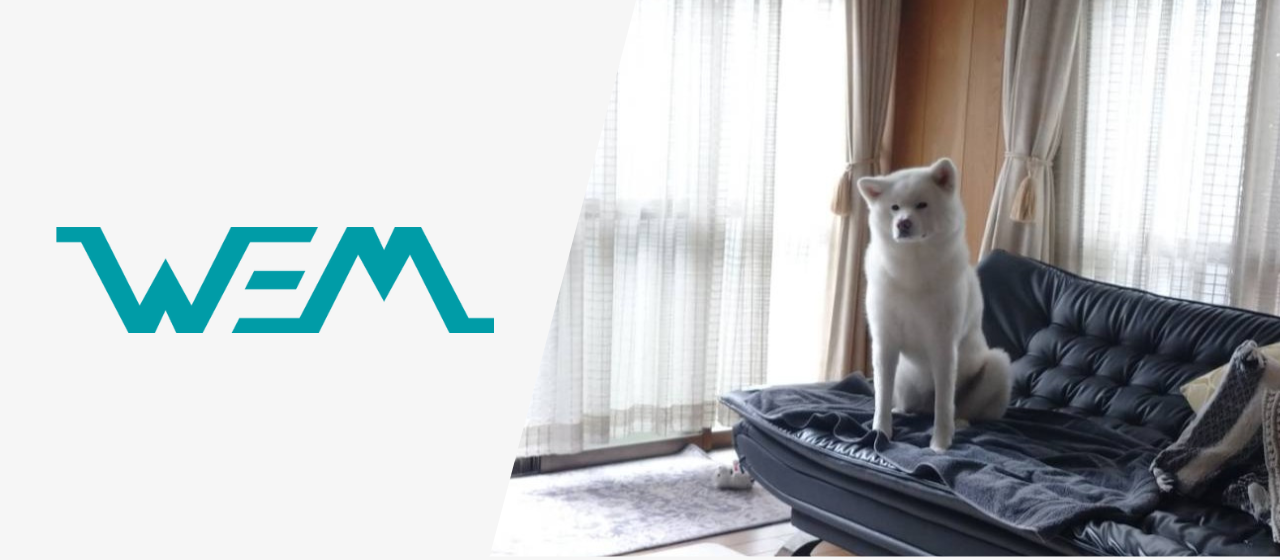 社員インタビュー｜エンジニア編「幅広く色んな業務に携われるのが有難いです」