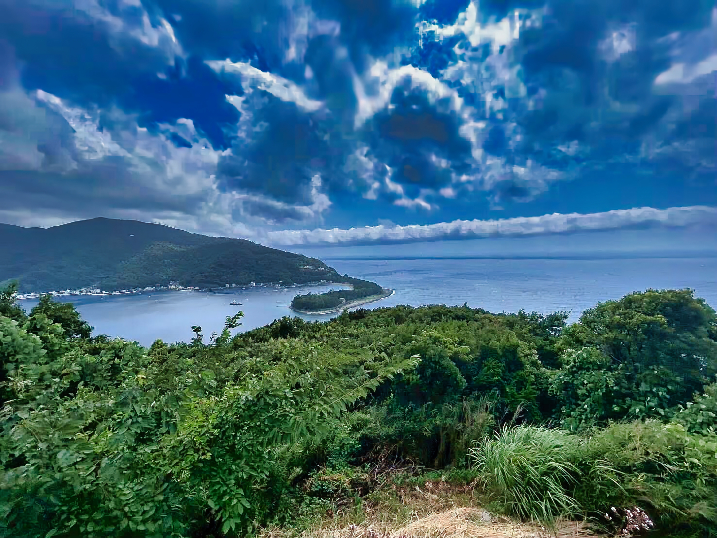 【入社して５ヶ月】これまでの自分とこれからの自分。抱いた可能性と自身の成長